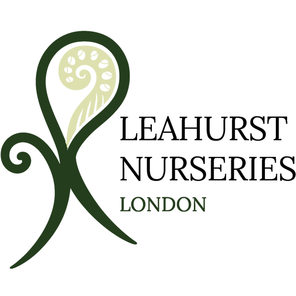 Leahurst Nurseries